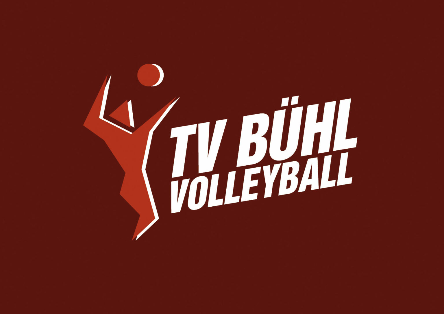 Bundespokal Süd 2024 – TV Bühl Abteilung Volleyball